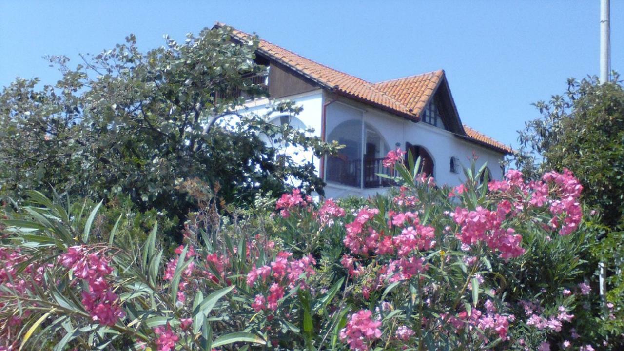 Villa Iris Vrasná Kültér fotó